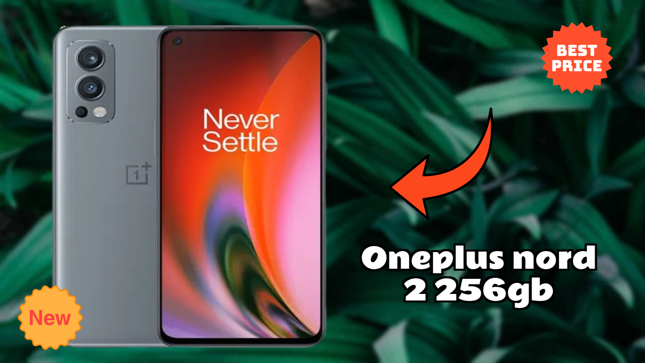 OnePlus Nord 2 256GB Camera Test: 50 MP + 8 MP + 2 MP Rear Camera Low Light Sample