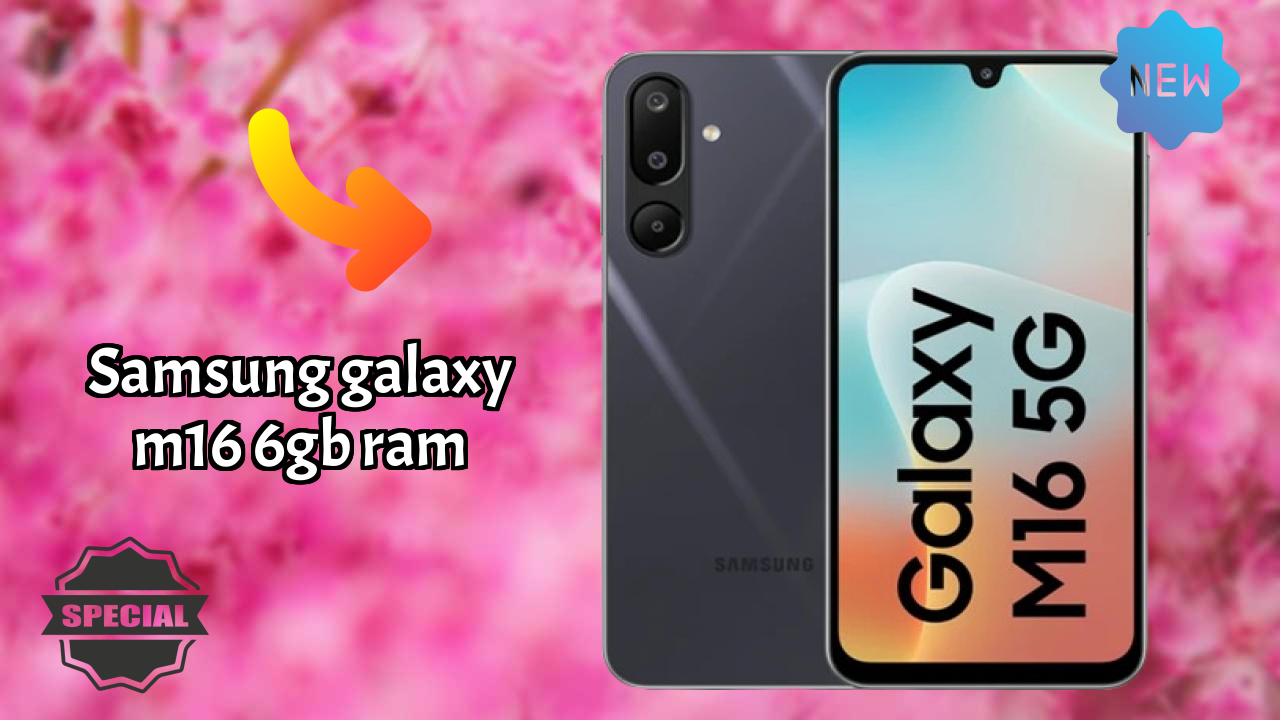 Samsung Galaxy M16 6GB RAM Camera Quality: 50 MP + 5 MP + 2 MP Rear Camera Photo Review