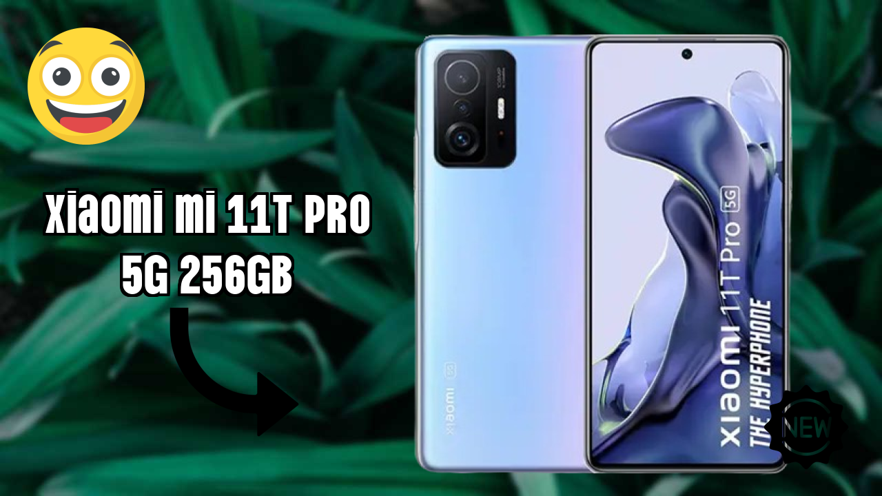 Xiaomi Mi 11T Pro 5G 256GB Display Quality: AMOLED Explained
